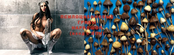 PSILOCYBIN Алексин