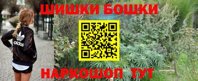 индика Северобайкальск