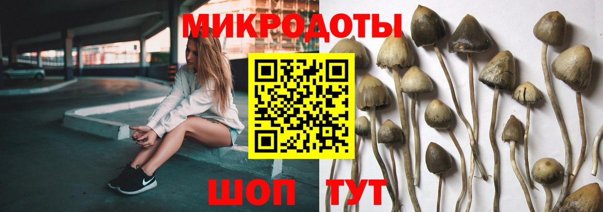 Шуя  Псилоцибиновые грибы GOLDEN TEACHER  Псилоцибиновые грибы мухоморы  Вход с VPN 